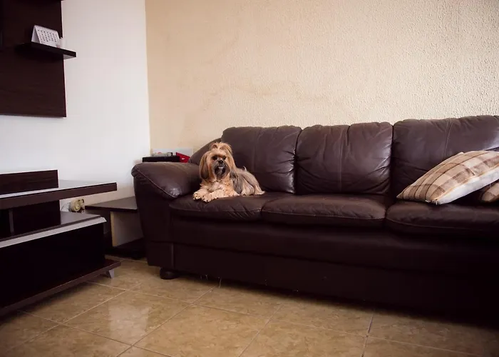 Cobertura Duplex Com Churrasqueira